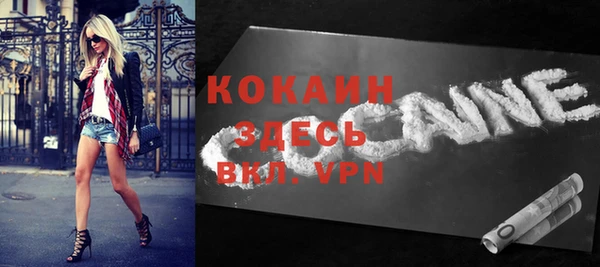 шишки Зеленодольск