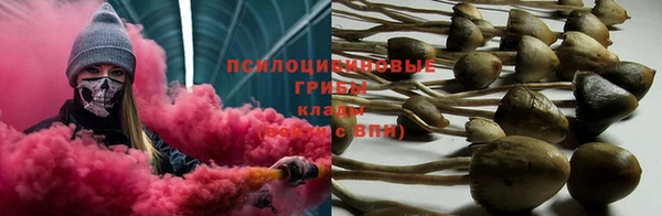 МДПВ Заволжье