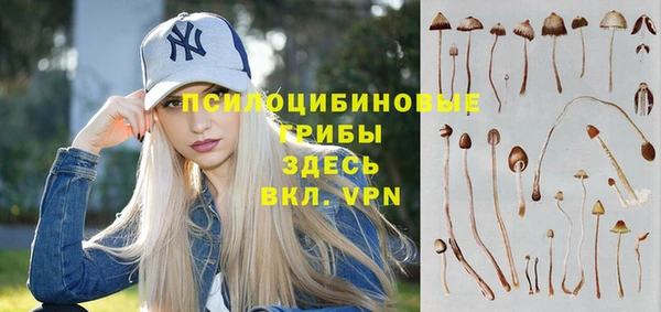 МДПВ Заволжье