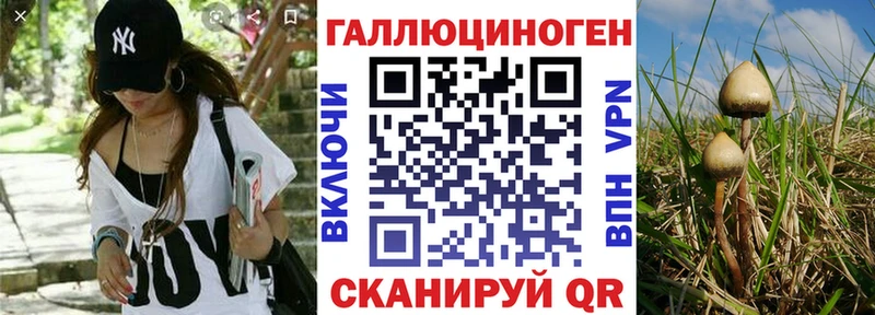 закладка  Среднеуральск  omg как зайти  Псилоцибиновые грибы мицелий 